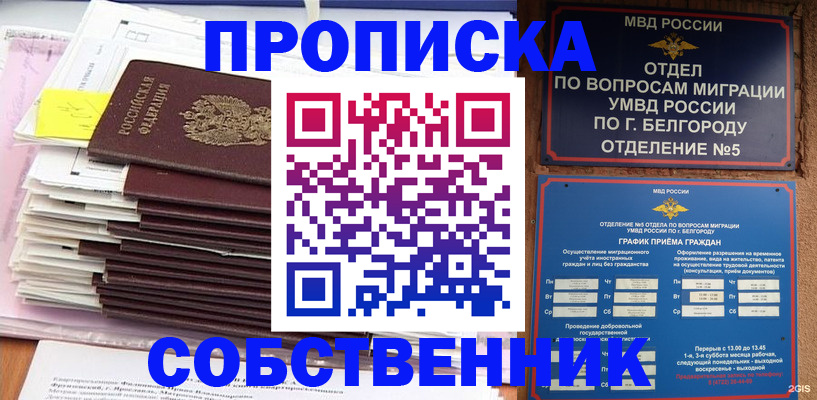 прописка законно в Пушкино